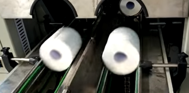 How Many Sheets of Toilet Paper Are Typically Found in a Single Roll