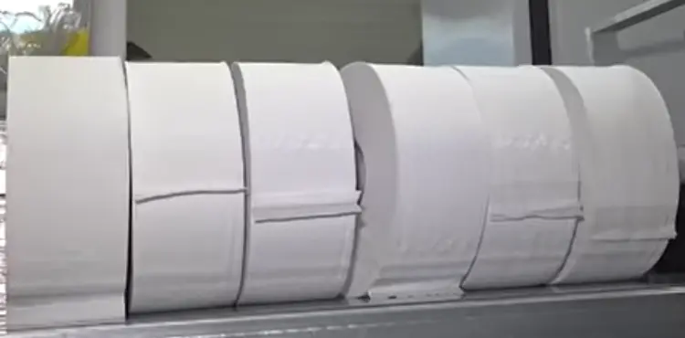 Is Toilet Paper Made From Trees 