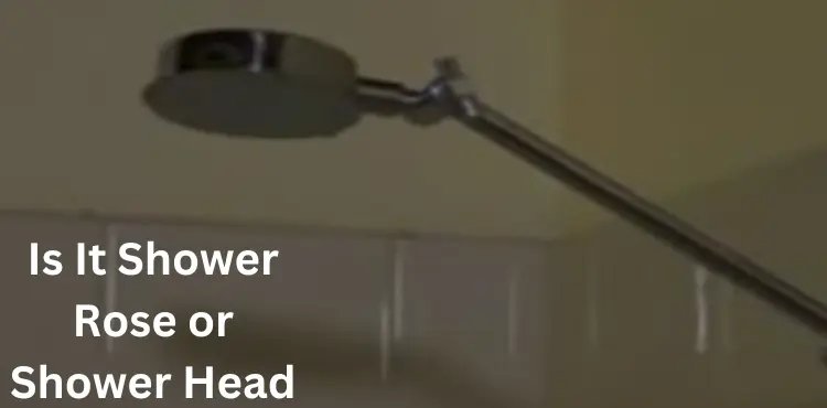 Is It Shower Rose or Shower Head